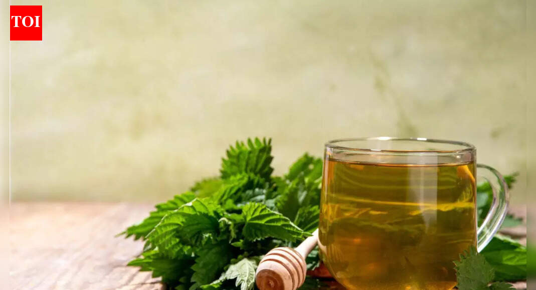 Prostate health: THIS herbal drink could help with frequent urination and bladder comfort; know who should avoid and how to prepare