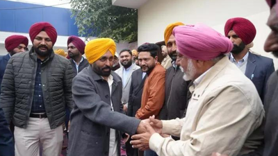  Amritsar, Anandpur Sahib, Talwandi Sabo get holy city tag; meat, alcohol banned