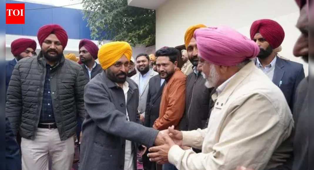 Punjab’s holy cities: Meat, alcohol, tobacco now officially prohibited; CM Mann calls decision historic