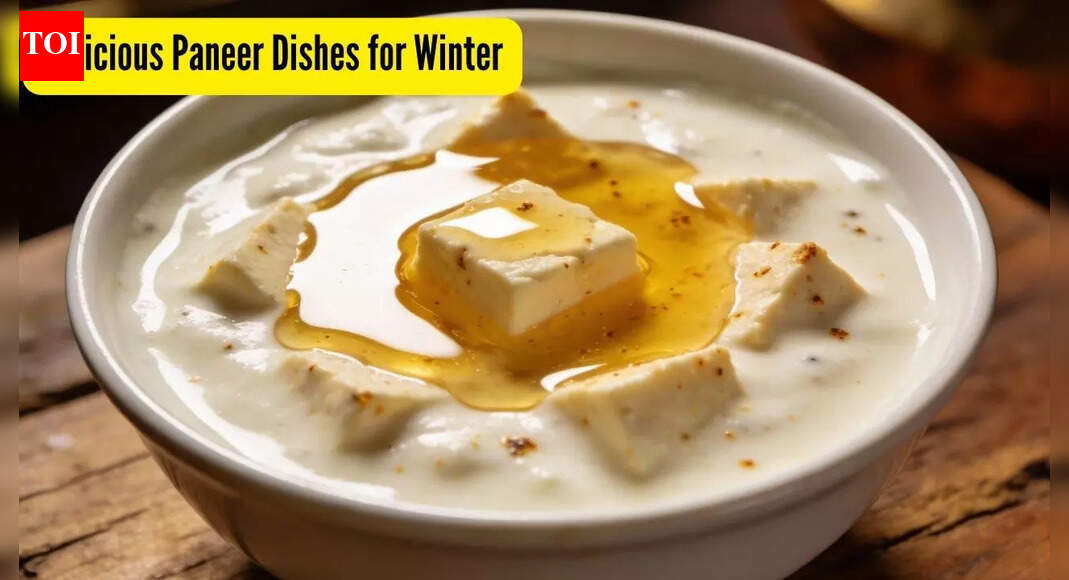 From Cream Paneer to Ghee Fried Paneer Masala: Paneer dishes that are delicious and innovative