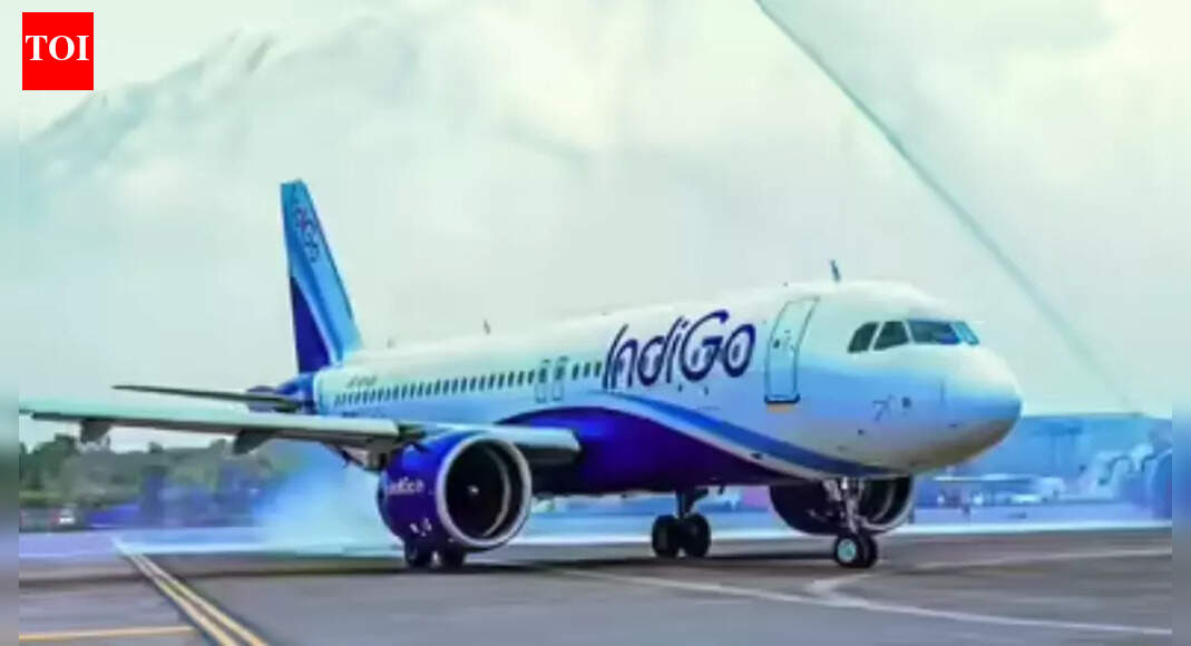 IndiGo can use planes wet leased from Turkey only till next March: Government