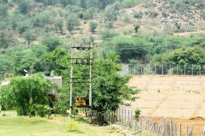 ‘No new mining lease till mgmt plan is final’