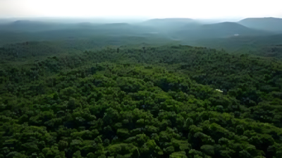 Uttarakhand mute spectator to grabbing of forest land: Supreme Court