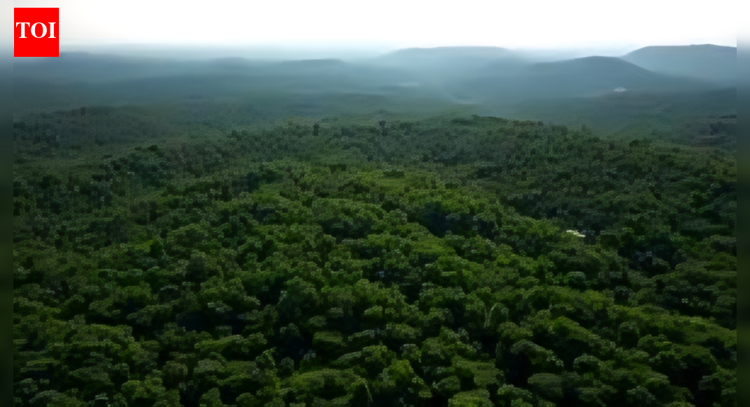 Uttarakhand mute spectator to grabbing of forest land: Supreme Court