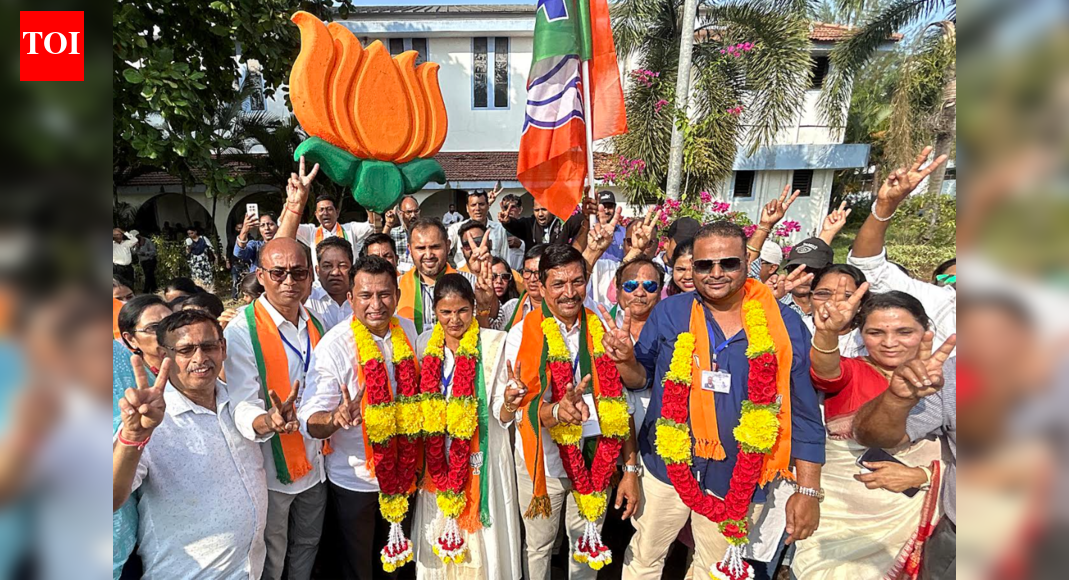 BJP bags 29, but opposition makes it sweat to finish line