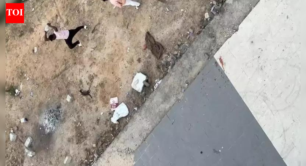 Man arrested for killing cat after it attacked pregnant wife in Vadaj