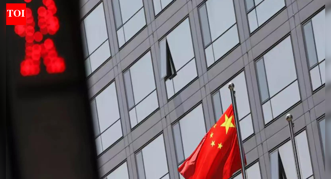 Chinese embassy in India to accept e-visa applications