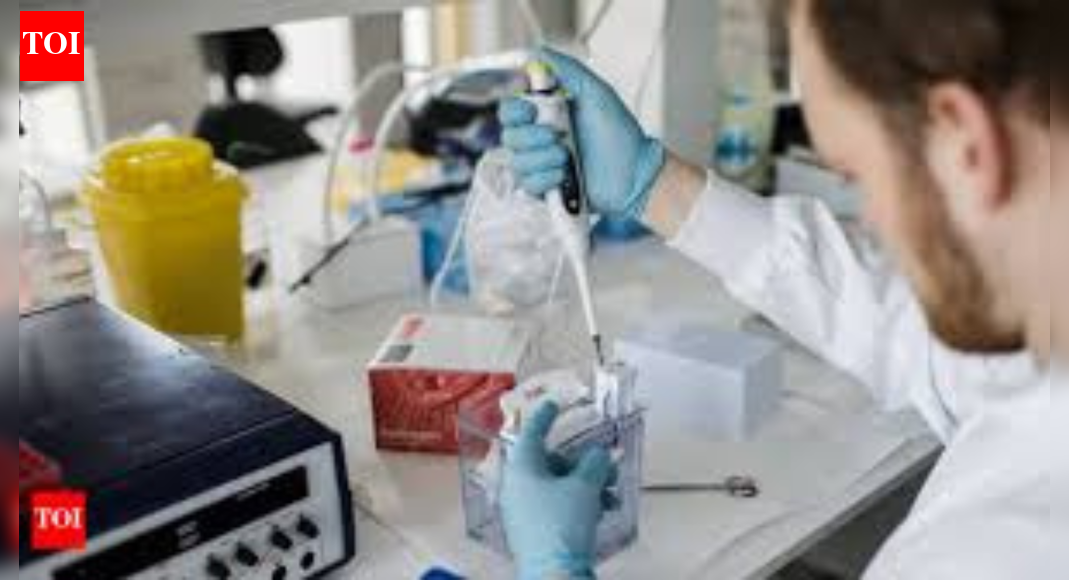 IIT, Australian university develop nanotech drug delivery for breast cancer