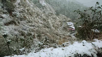  Cold day conditions and dense fog to continue across these Indian states; what this means for travellers