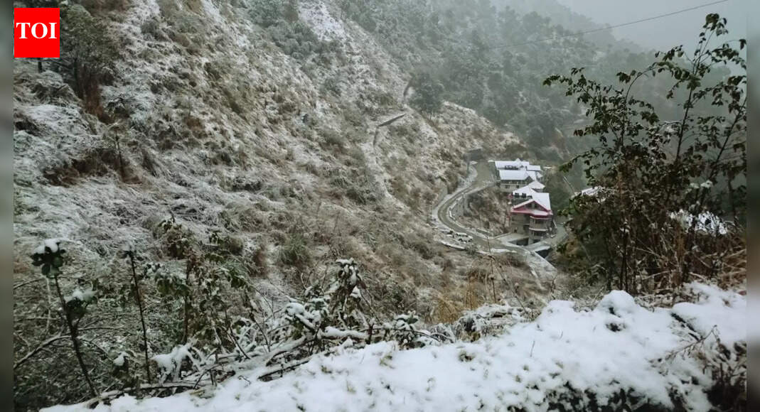 IMD weather alert: Cold day conditions and dense fog to continue across these Indian states; what this means for travellers