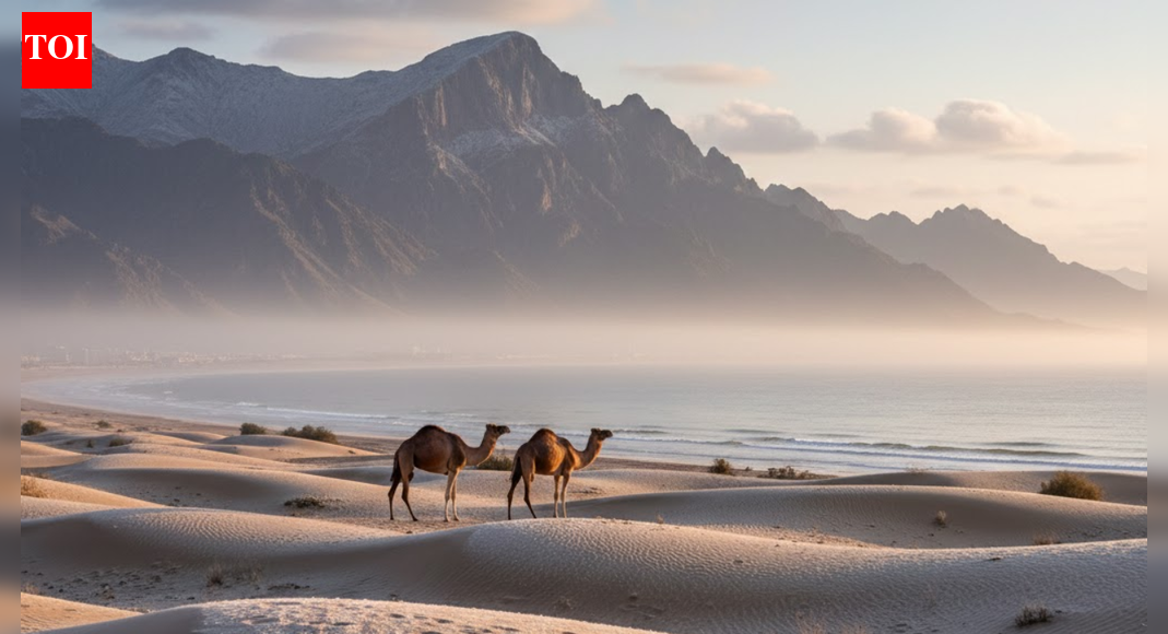 UAE weather: Winter begins, NCM warns of cold nights and occasional rain