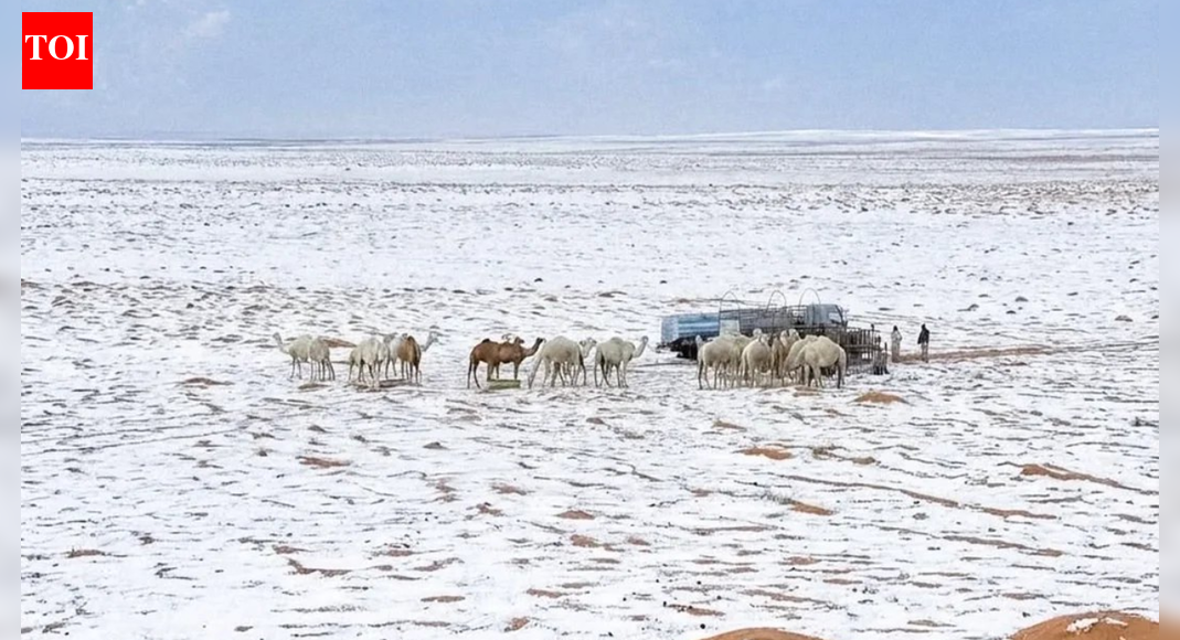 Saudi Arabia sees rare snowfall after 30 years, desert mountains turn into winter wonderland