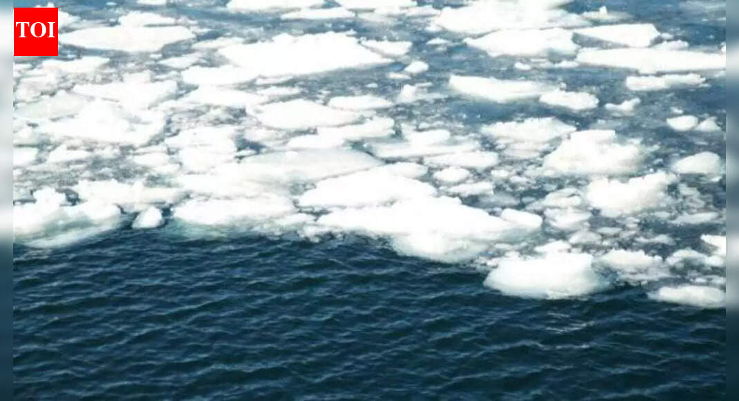 Curiosity Corner: Why does ice float on water?