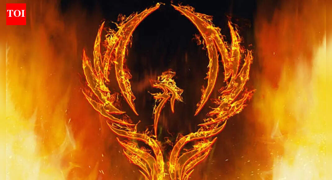 These zodiac signs rise after a difficult phase of life