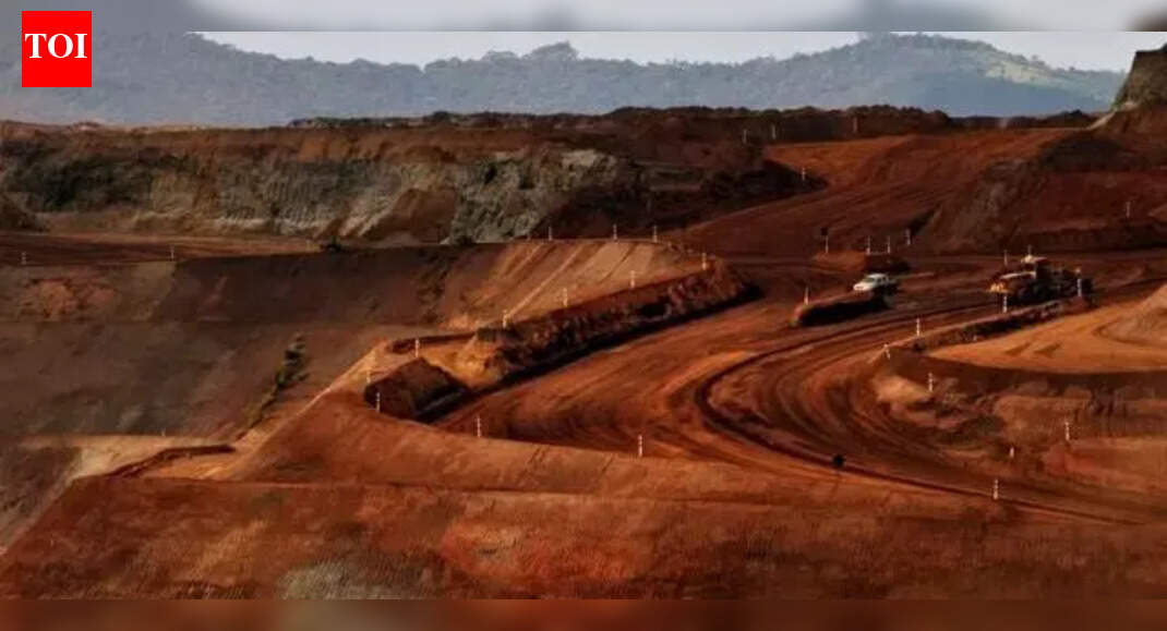 Odisha iron ore mining capacity 'underutilisation' claim: HC seeks govt affidavit by Jan 8
