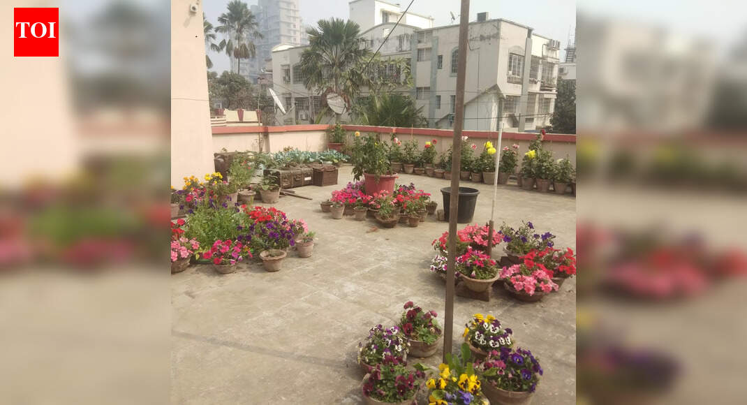 Rooftop gardening drive in Odisha's Jeypore stuck in public ignorance