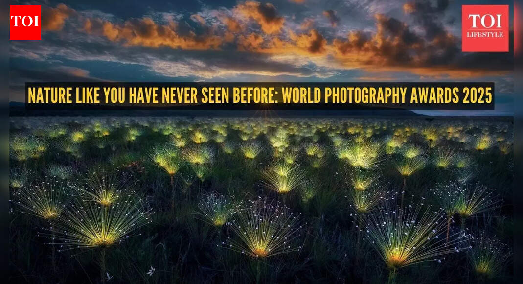 World Nature Photography Awards 2025: The year’s most breathtaking wildlife photographs