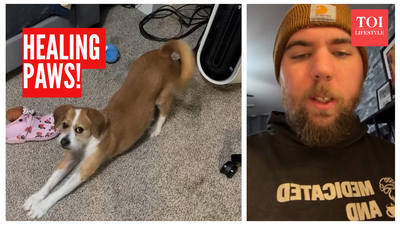 ஸ்கிசோஃப்ரினியாவுடன் வாழ்வது: மாயத்தோற்றத்தை சமாளிக்க தனது நாய் எவ்வாறு உதவுகிறது என்பதை மனிதன் பகிர்ந்து கொள்கிறான்