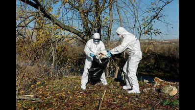 30,000 birds to be culled as avian flu hits Alappuzha and Kottayam
