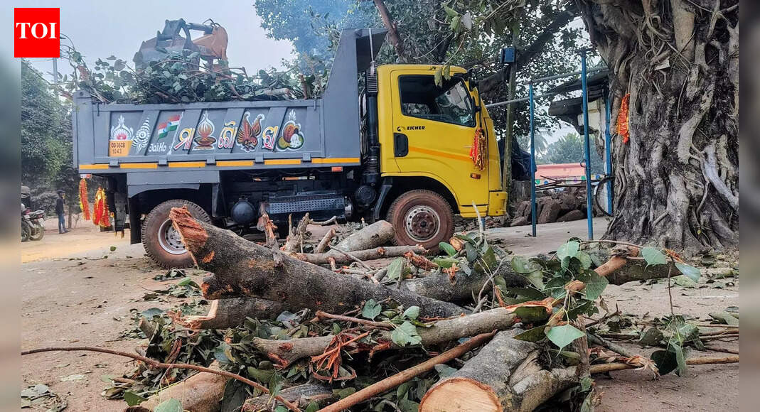 BMC cuts, prunes trees near airport for aircraft safety