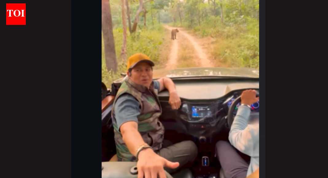 Inside Sachin Tendulkar’s favourite wildlife retreat in Maharashtra: How to plan a visit