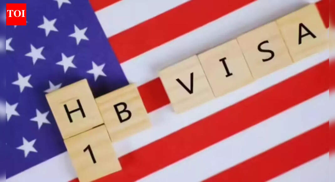 H-1B visa: DHS replaces random lottery selection, priority now to those earning higher wages