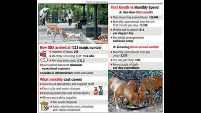 How much does daily care for a stray dog cost? Greater Bengaluru Authority pegs it at Rs 111