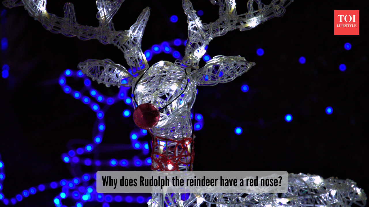 Rudolph Nose Png