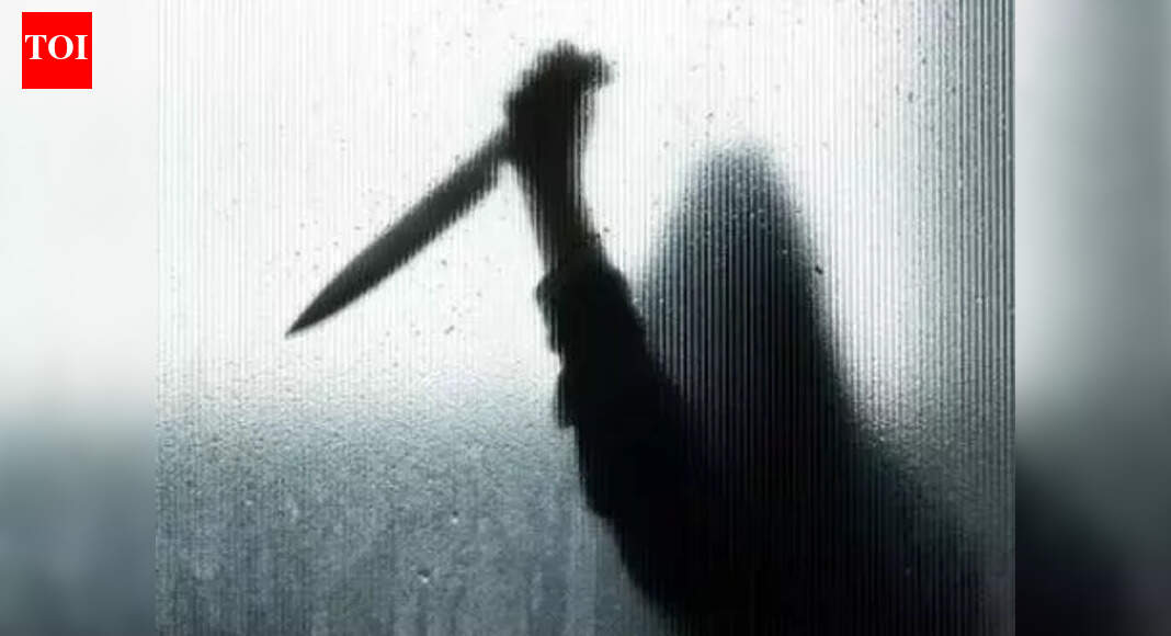 Property row led to triple murder: SP