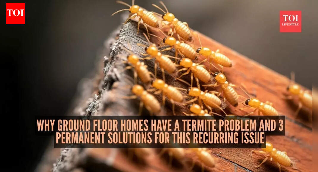 Why ground floor homes have a termite problem and 3 permanent solutions for this recurring issue
