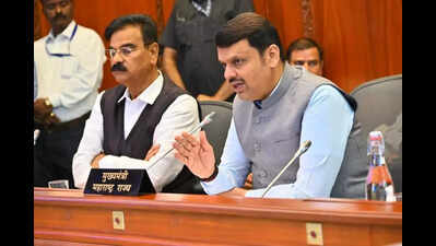 पुरंदर विमानतळाच्या जमिनीसाठी जास्तीत जास्त मोबदला देण्याचे मुख्यमंत्र्यांचे आश्वासन