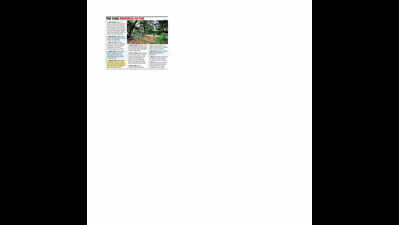 Activists demand naming Parth in Mundhwa land case & clubbing of two FIRs