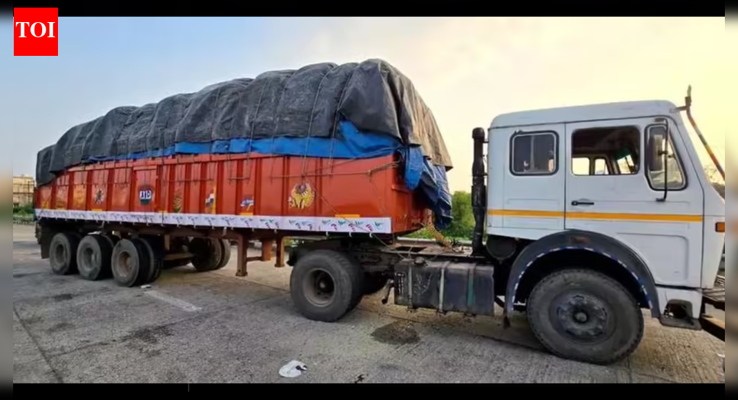 Fallen liquor truck uncorks loot in Gujarat