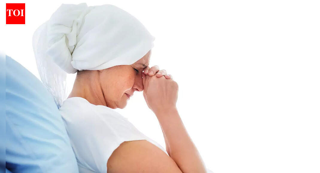 Immune cells modified to become ‘living drugs’ for cancer patients