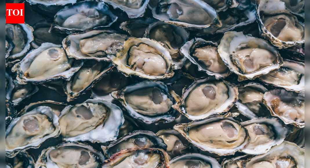 Raw oysters trigger multistate salmonella outbreak in the US, prompting nationwide health alert