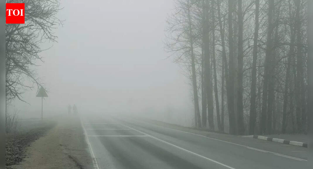 Snow in the Himalayas, dense fog in the plains: What December’s weather means for holiday travel