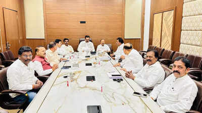 KDMC elections near: 550 aspirants apply to Shiv Sena; alliance talks begin with BJP