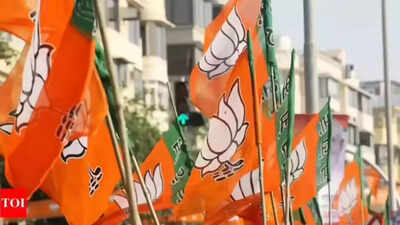 BJP gears up to go solo in Ulhasnagar civic polls amid alliance uncertainty