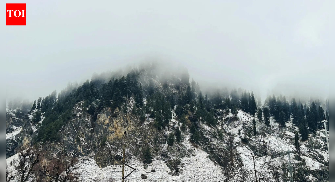 Avalanche warning issued for five districts in Jammu and Kashmir