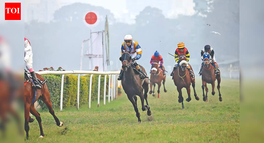 A sundowner on the turf, with the old and the new