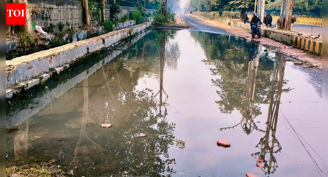 Noida: Drains choked, muck overflows and floods parks