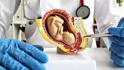  Scientists create ‘artificial womb’ that could save the lives of very premature babies