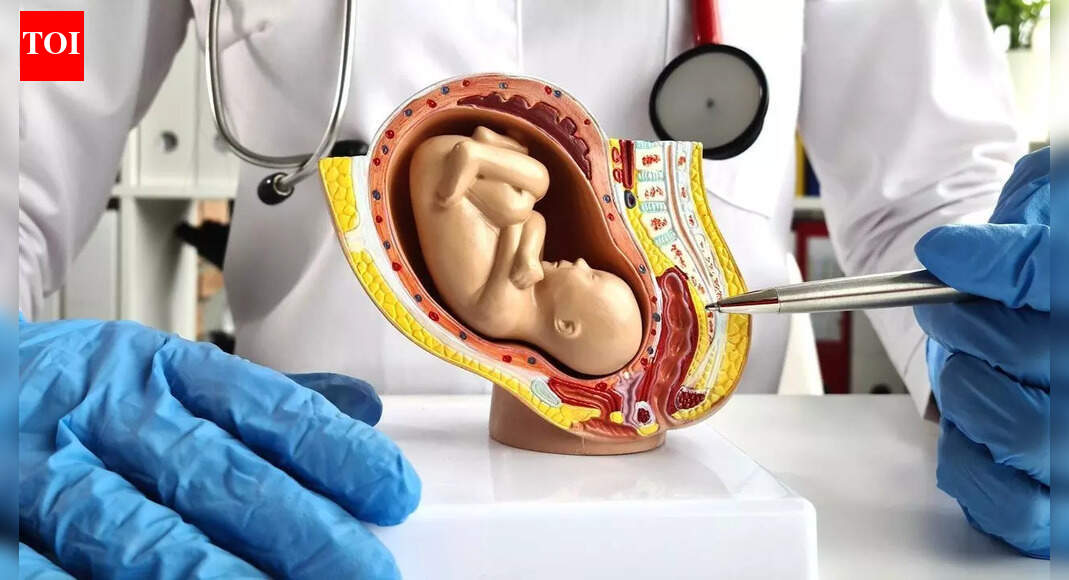 Medical miracle: Scientists create ‘artificial womb’ that could save the lives of very premature babies
