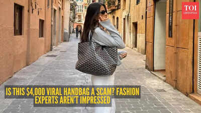 Fashion expert warns everyone to skip this viral designer tote bag worth Rs 3.5 lakh, no matter how rich you are!