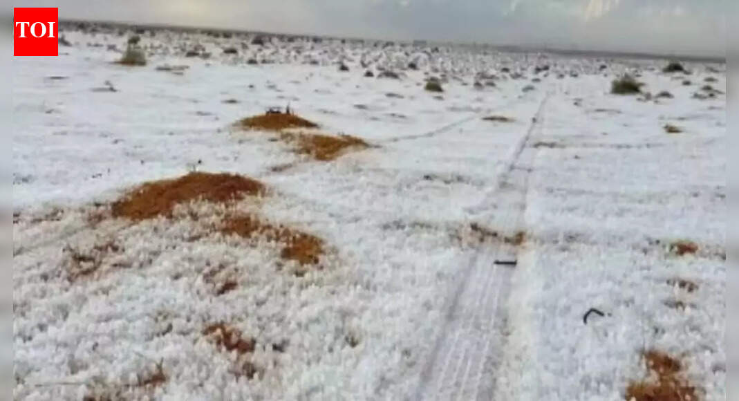 Rare desert snowfalls that shocked the world in the last five years: From Saudi dunes to the Atacama plains, where sand meets snow