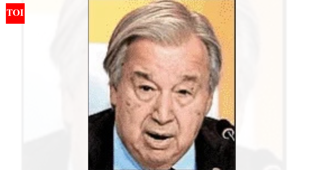 All citizens need to feel safe: UN chief on lynching and media office arsons