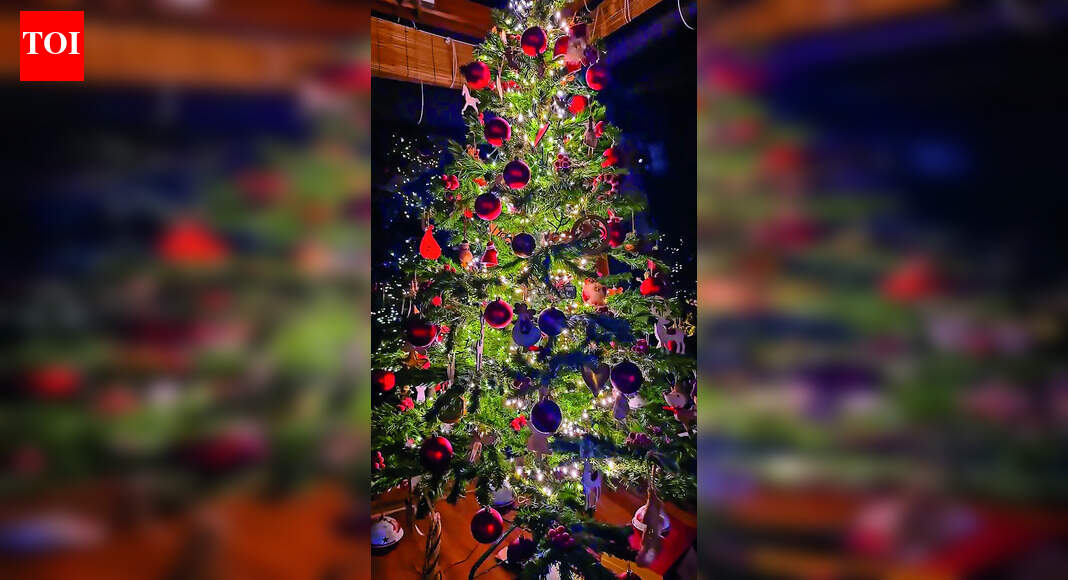 Festive, personal, meaningful: The stories behind celebs’ X-mas trees