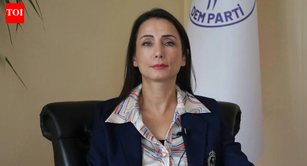 ‘Kurds are working to establish a peace order, not to deepen conflicts… We value and support Turkey's efforts in this regard’