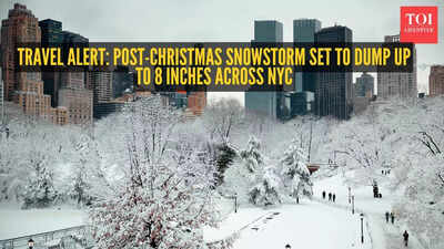 Travel alert! Post-Christmas snowstorm set to dump up to 8 inches across NYC