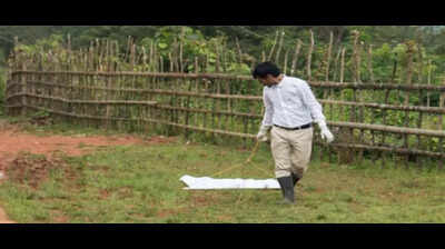 Monkey fever vaccine delayed by 1 year